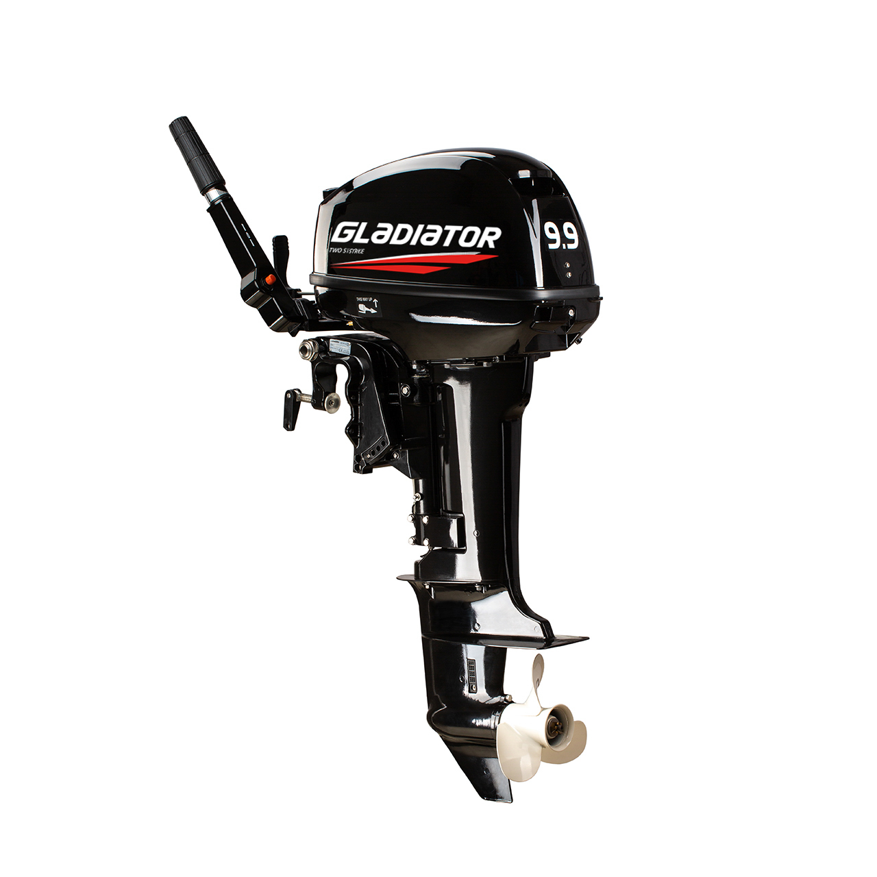 ЛОДОЧНЫЙ МОТОР GLADIATOR G9.9FHS в Томске