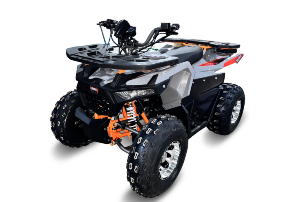 Квадроцикл GBM DAXTER 220 NEW PREMIUM в Томске