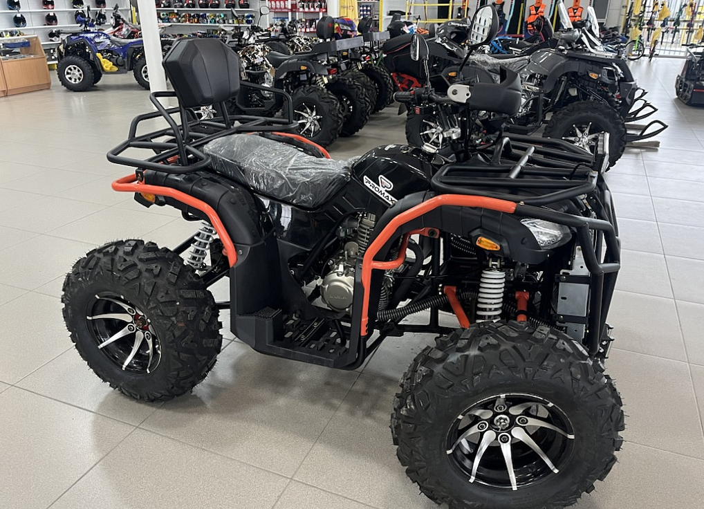 Квадроцикл PROMAX 300 4X4 ALL ROAD в Томске