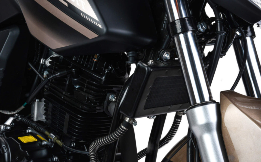 Мотоцикл MOTOLAND (МОТОЛЕНД) 300 BANDIT в Томске