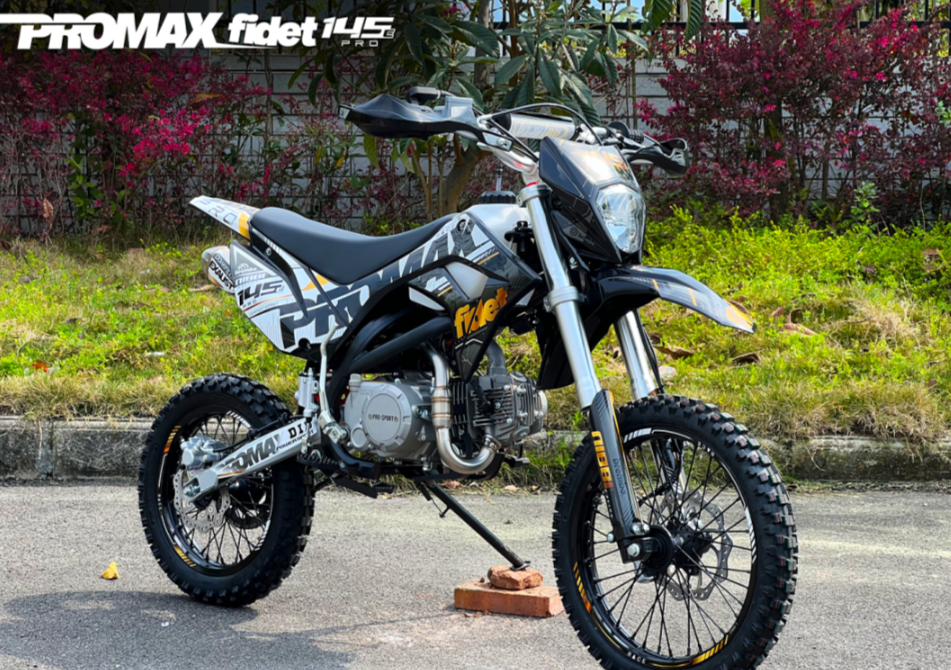 Мотоцикл (питбайк) PROMAX FIDET (ФАЙДЕТ) 145E PRO 17/14 в Томске