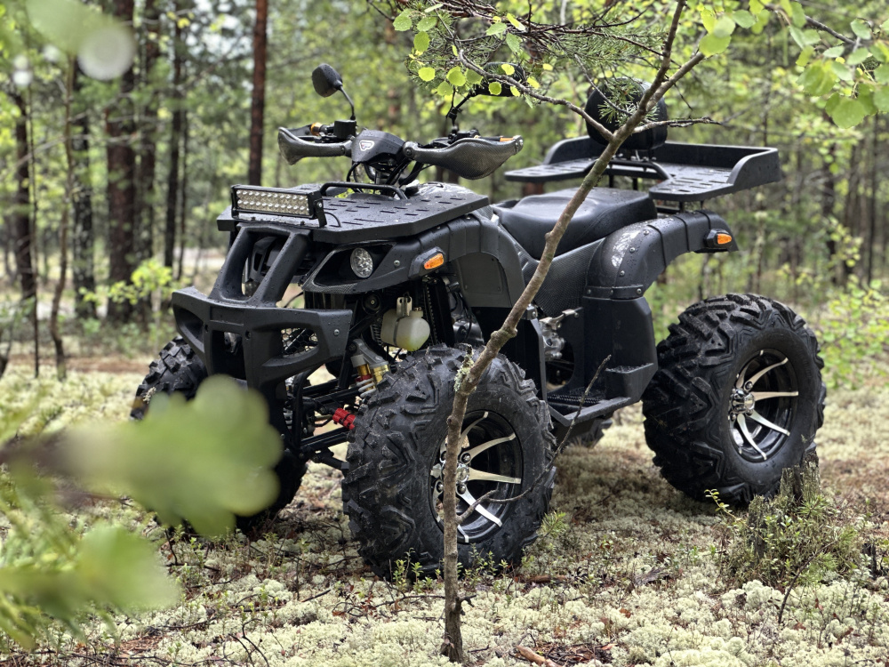 Квадроцикл PROMAX 320 DOMINATOR (2025) в Томске