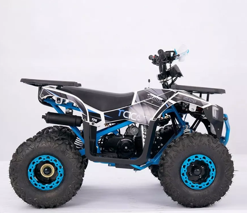 Квадроцикл YACOTA SIRIUS 110 в Томске