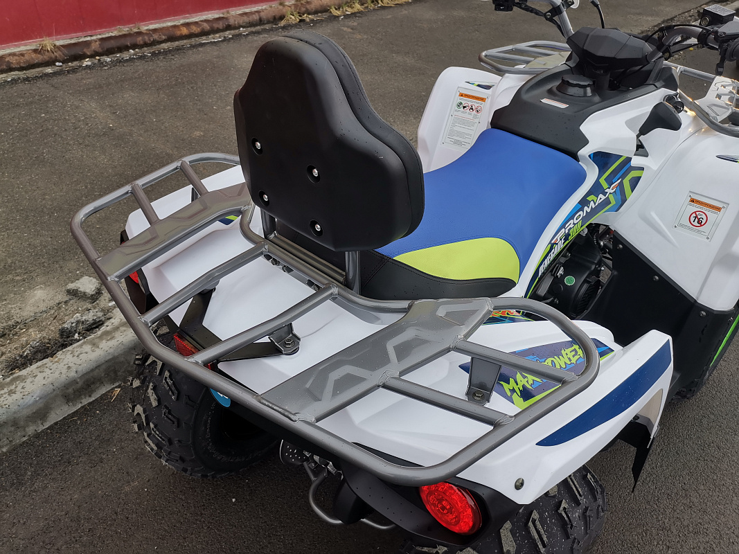 Квадроцикл PROMAX RENEGADE 280 LUX (2025) в Томске