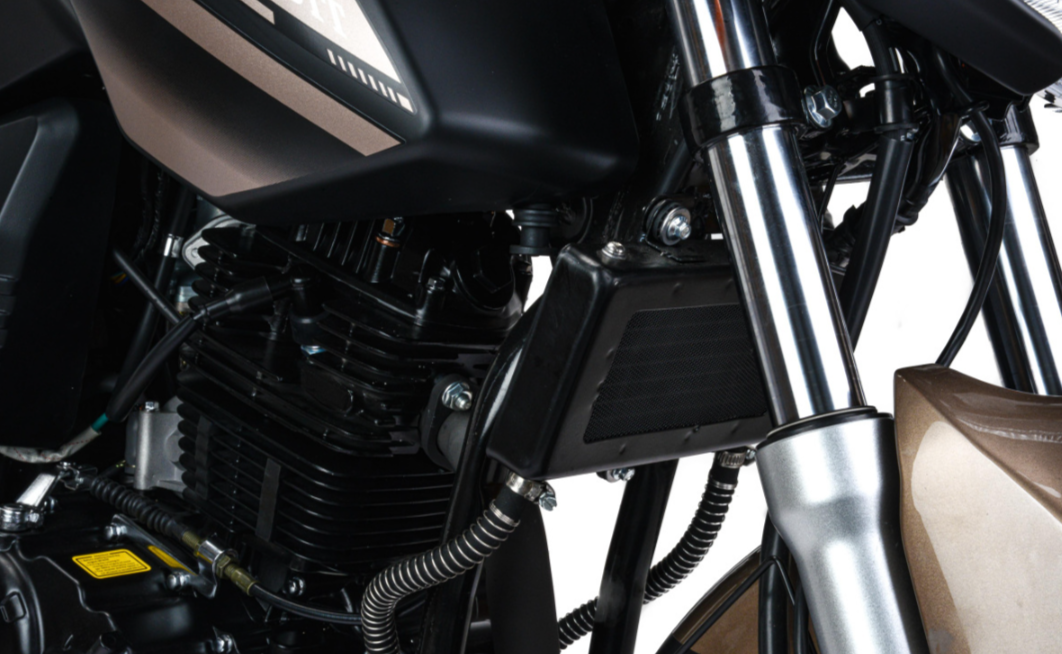 Мотоцикл MOTOLAND (МОТОЛЕНД) 300 BANDIT в Томске