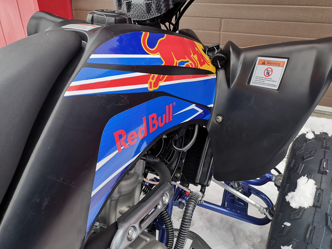 Квадроцикл PROMAX RAPTOR 300 NEW RedBull в Томске