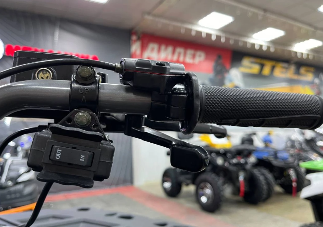 Квадроцикл PROMAX RENEGADE 300 LONG WINCH PRO (2025) в Томске