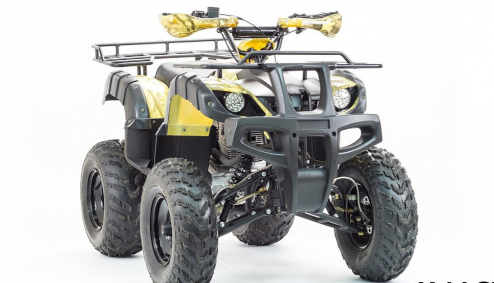 Квадроцикл MOTOLAND (МОТОЛЕНД) 250 ADVENTURE в Томске