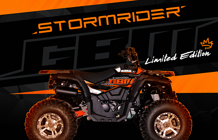 Квадроцикл GBM STORMRIDER 320 NEW LUX в Томске