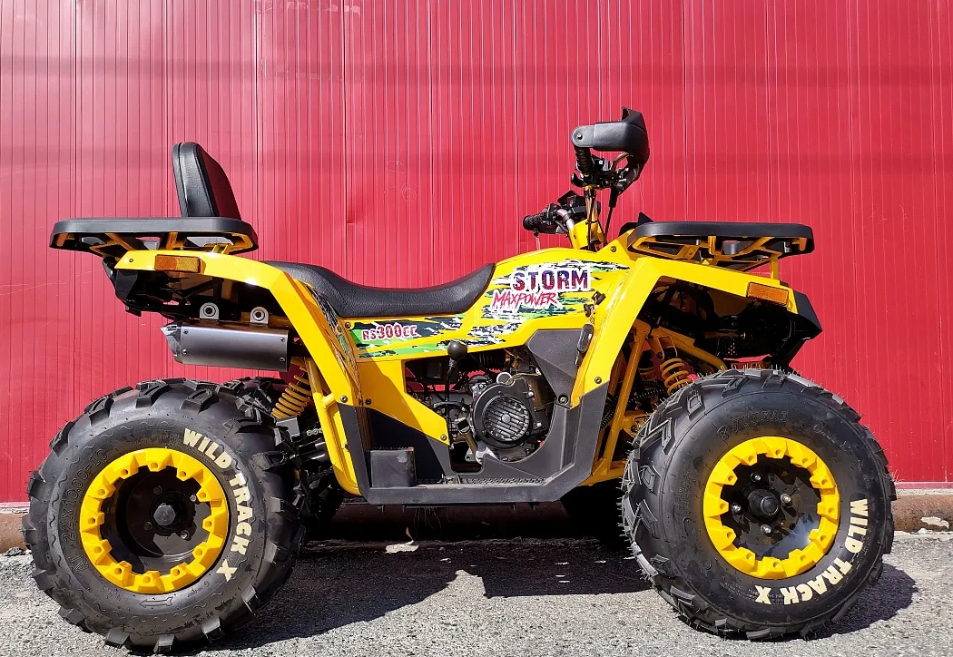Квадроцикл PROMAX STORM 280 LUX в Томске