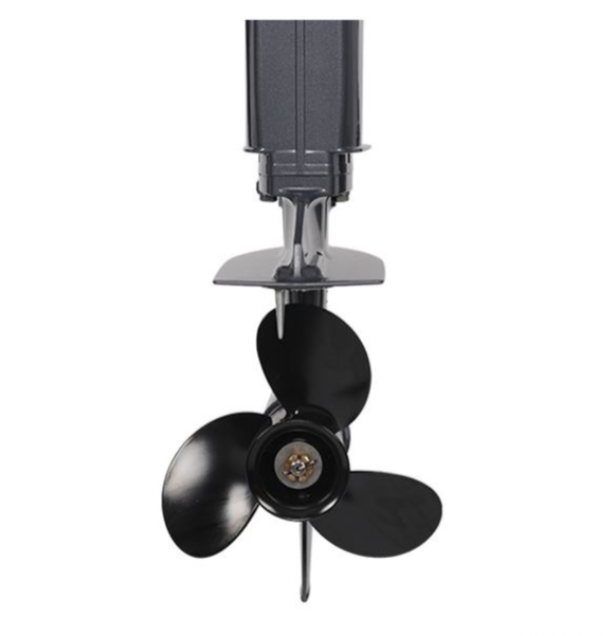 Лодочный мотор ALLFA CG Т40FW S в Томске