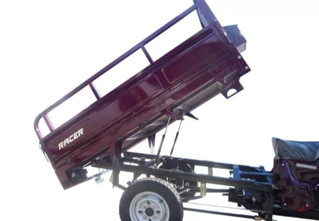 Трицикл RACER RC200ZH MURAVEI в Томске