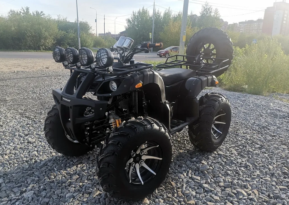 Квадроцикл PROMAX LEO 300 Max (кардан) в Томске