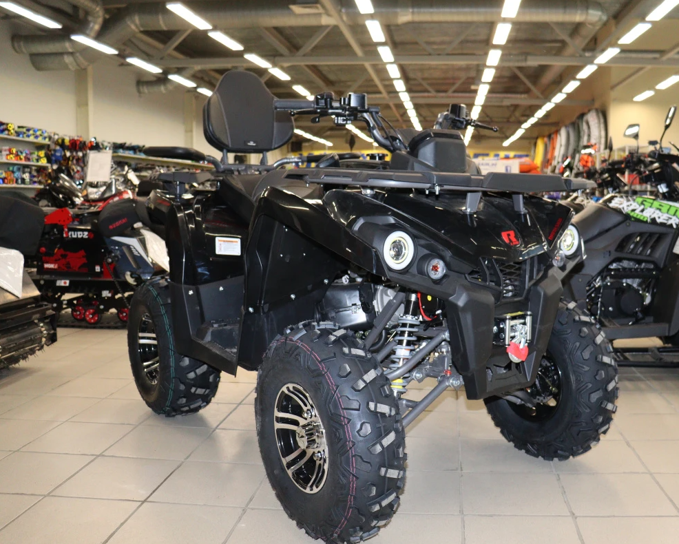 Квадроцикл PROMAX RENEGADE 300 LONG WINCH PRO (2025) в Томске