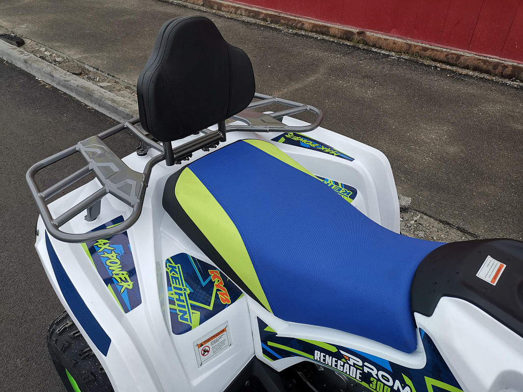 Квадроцикл PROMAX RENEGADE 280 LUX (2025) в Томске