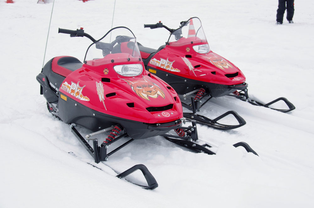 Снегоход РМ ТАЙГА РЫСЬ в Томске