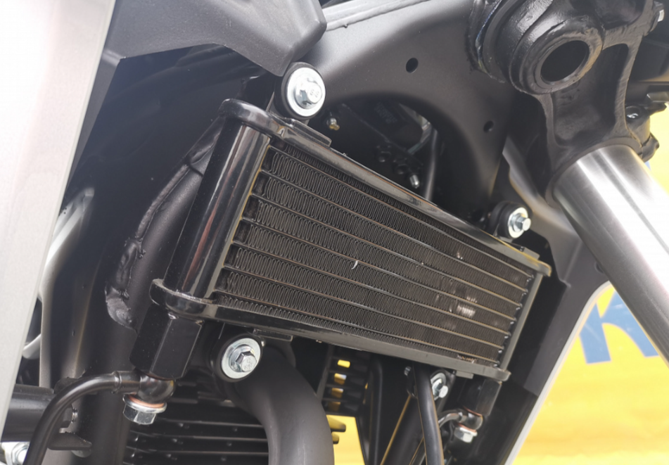 Мотоцикл MOTOLAND (МОТОЛЕНД) 250 CB250 (172FMM-5/PR250) (2022 г.) в Томске