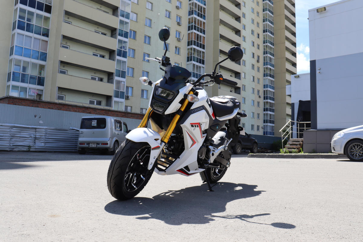 Мотоцикл PROMAX STRYKER 200(49) 2.0 в Томске