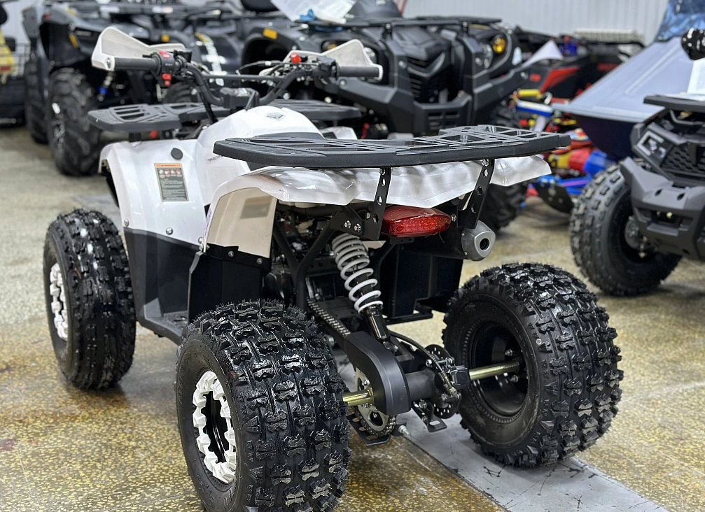 Квадроцикл PROMAX WILD 2.0 190 в Томске