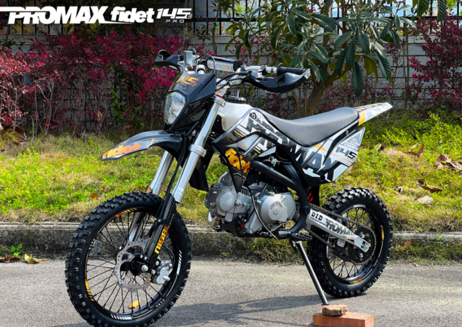Мотоцикл (питбайк) PROMAX FIDET (ФАЙДЕТ) 145E PRO 17/14 в Томске