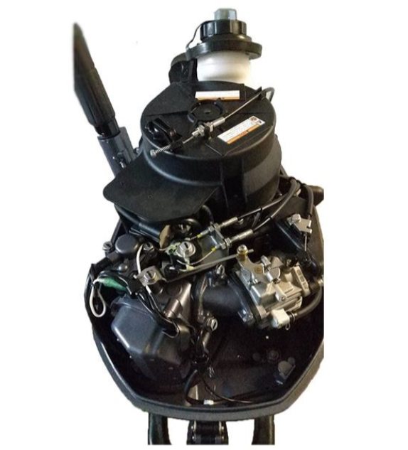 Лодочный мотор ALLFA CG F6 в Томске