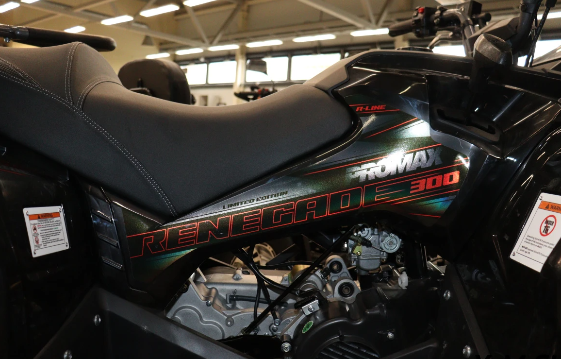 Квадроцикл PROMAX RENEGADE 300 LONG WINCH PRO (2025) в Томске