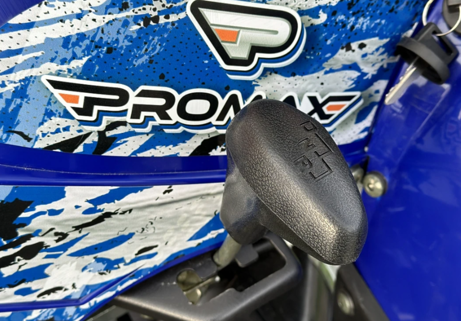  Квадроцикл PROMAX ATV 250 MAX (2025) в Томске