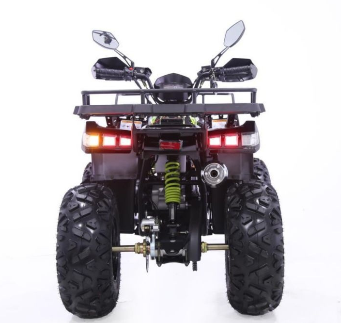 Квадроцикл YACOTA WARRIOR 200 PRO в Томске