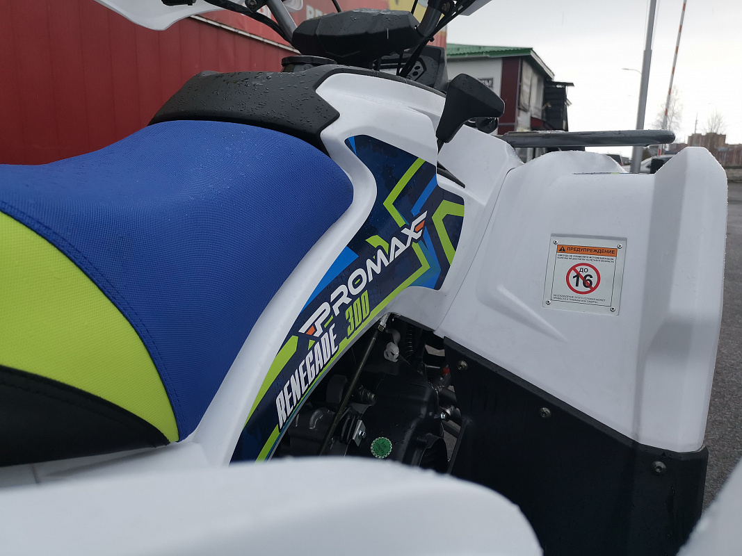 Квадроцикл PROMAX RENEGADE 280 LUX (2025) в Томске