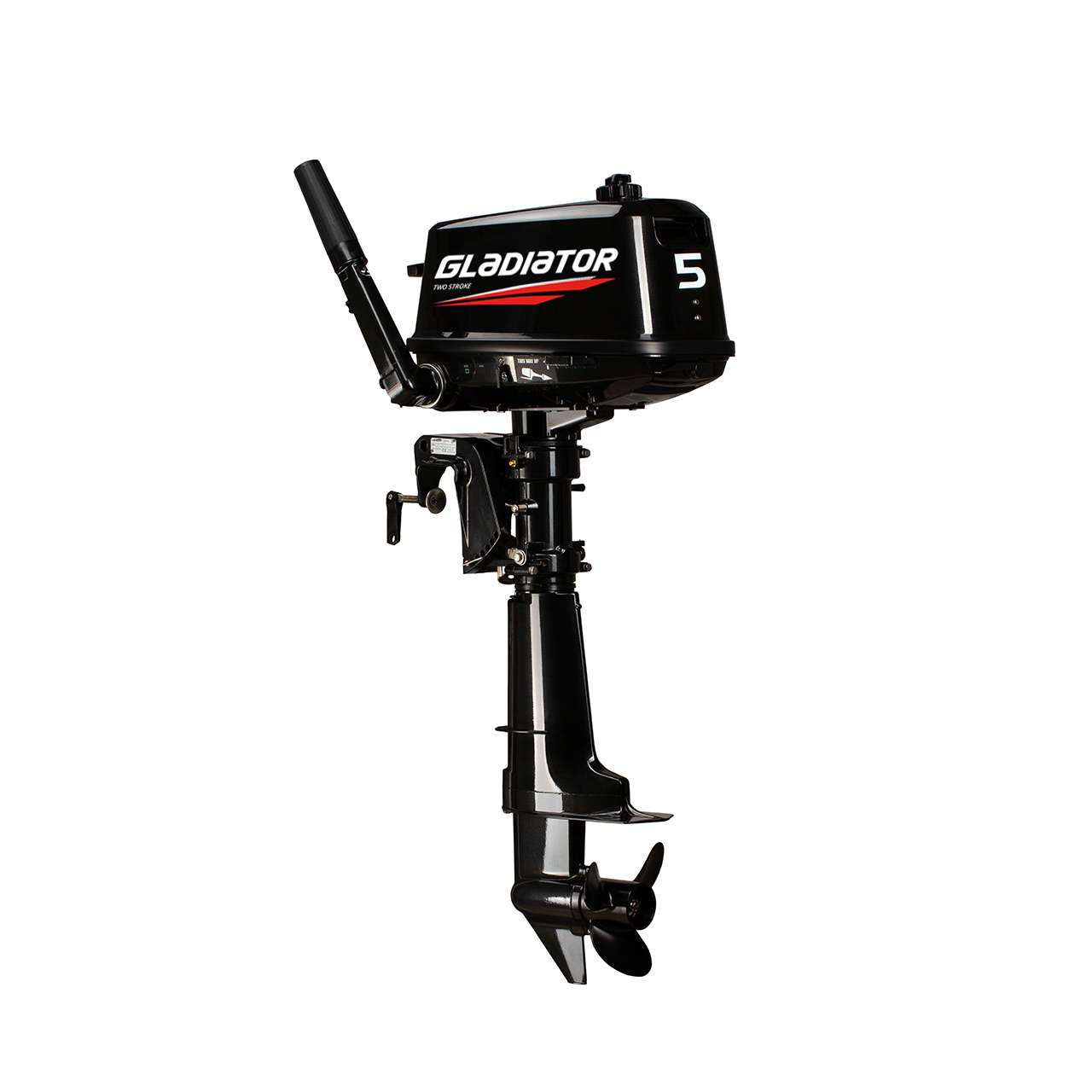 ЛОДОЧНЫЙ МОТОР GLADIATOR G5FHS в Томске