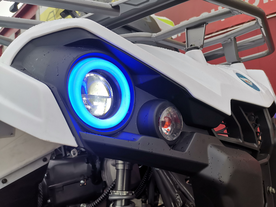 Квадроцикл PROMAX RENEGADE 280 LUX (2025) в Томске