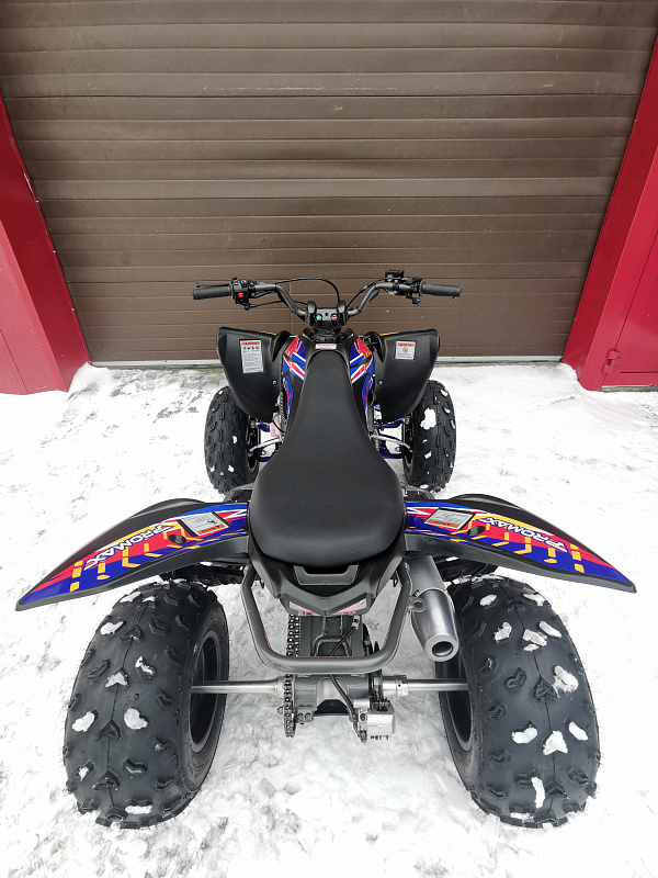 Квадроцикл PROMAX RAPTOR 300 NEW RedBull в Томске