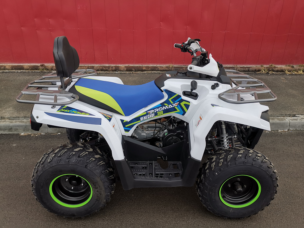 Квадроцикл PROMAX RENEGADE 280 LUX (2025) в Томске