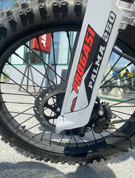 Мотоцикл Progasi PALMA 300 NEW (CB300F) в Томске