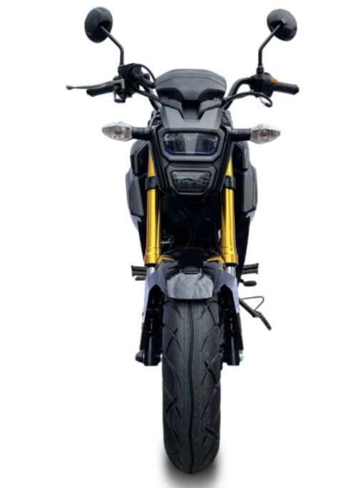 Мотоцикл PROMAX STRYKER 200(49) в Томске