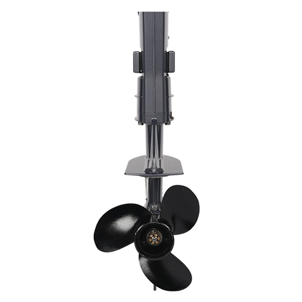 ЛОДОЧНЫЙ МОТОР ALLFA CG T5 в Томске