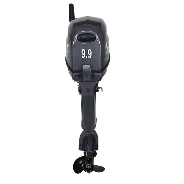 Лодочный мотор ALLFA CG Т9.9(20)MAX в Томске