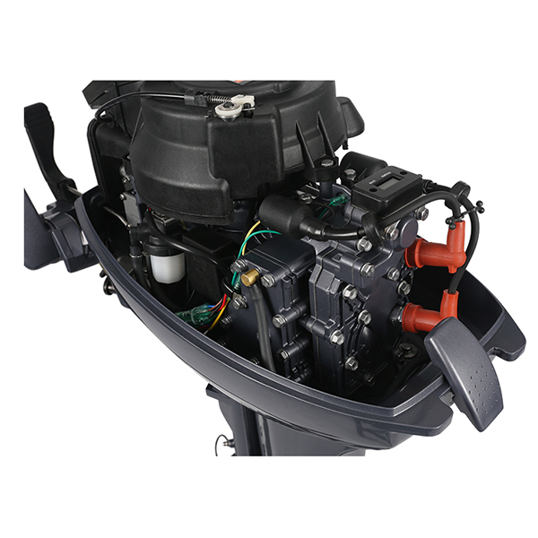 ЛОДОЧНЫЙ МОТОР ALLFA CG Т9,9 Limit в Томске