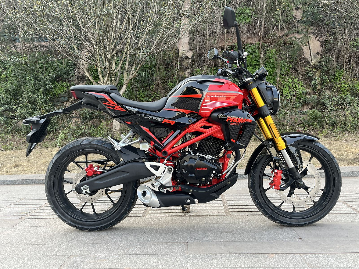 Мотоцикл PROMAX CB300 в Томске