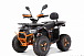 Квадроцикл YACOTA SIRIUS 2000W в Томске