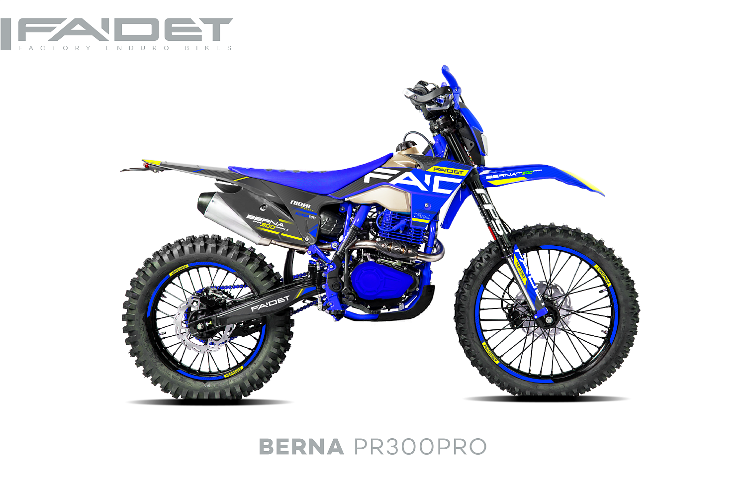 Кроссовый мотоцикл FAIDET BERNA PR300-PRO FPS в Томске