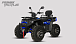 Квадроцикл PROMAX TAURUS 300 MAX-PRO LONG в Томске