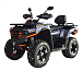 Квадроцикл MOTOLAND (МОТОЛЕНД) 300 MAX X в Томске