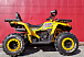 Квадроцикл PROMAX STORM 280 LUX в Томске