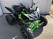 Квадроцикл PROMAX RAPTOR 300 NEW Monster в Томске