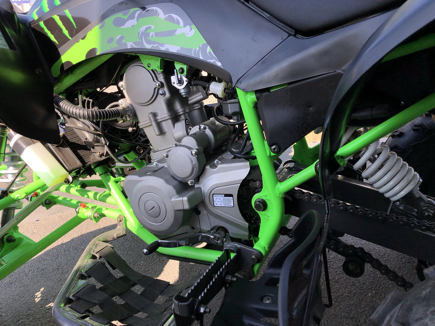 Квадроцикл PROMAX RAPTOR 300 NEW Monster в Томске