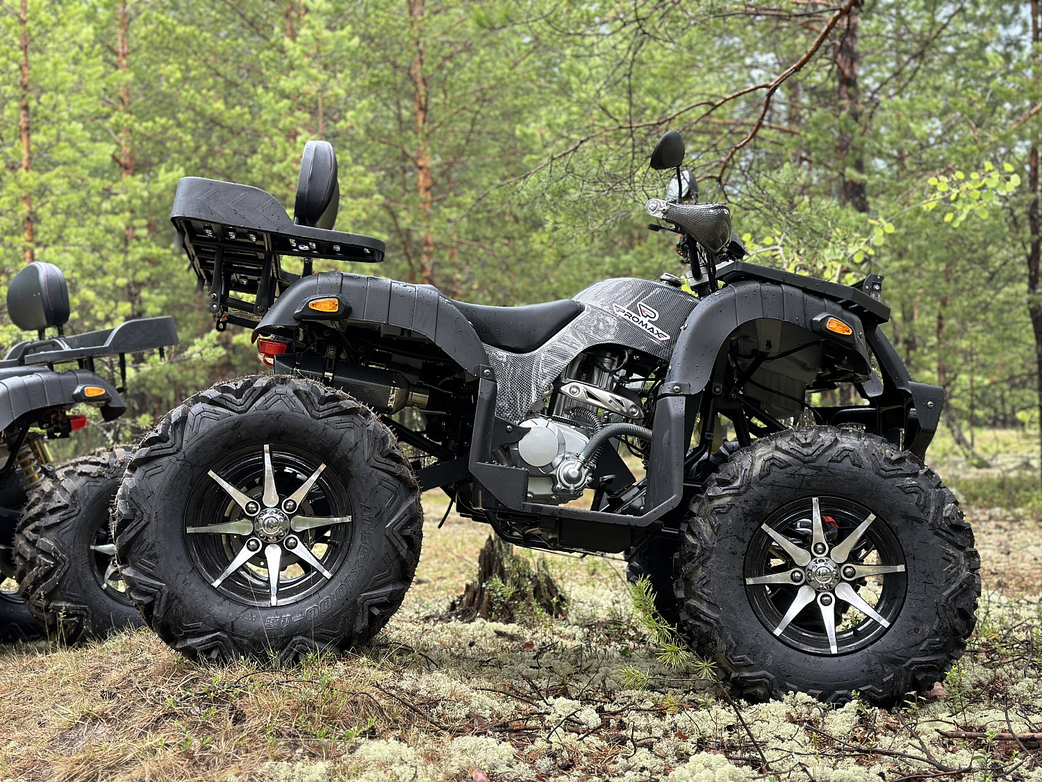 Квадроцикл PROMAX 320 DOMINATOR (2025) в Томске