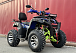  Квадроцикл PROMAX ATV 250 MAX (2025) в Томске