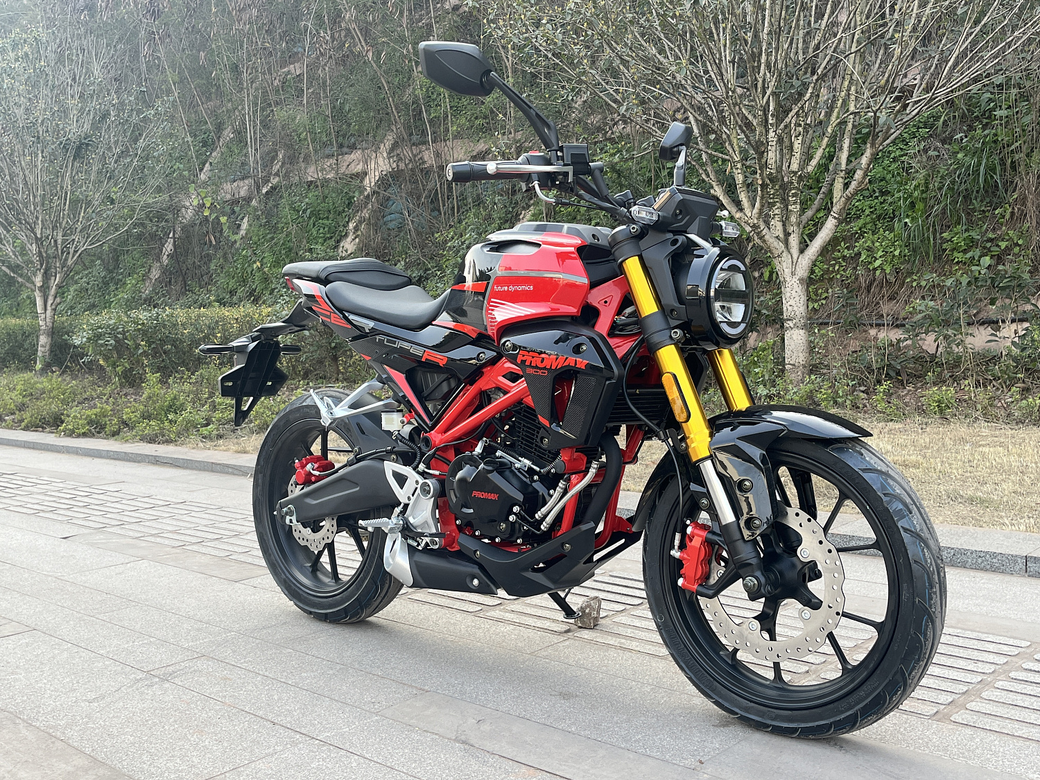 Мотоцикл PROMAX CB300 в Томске