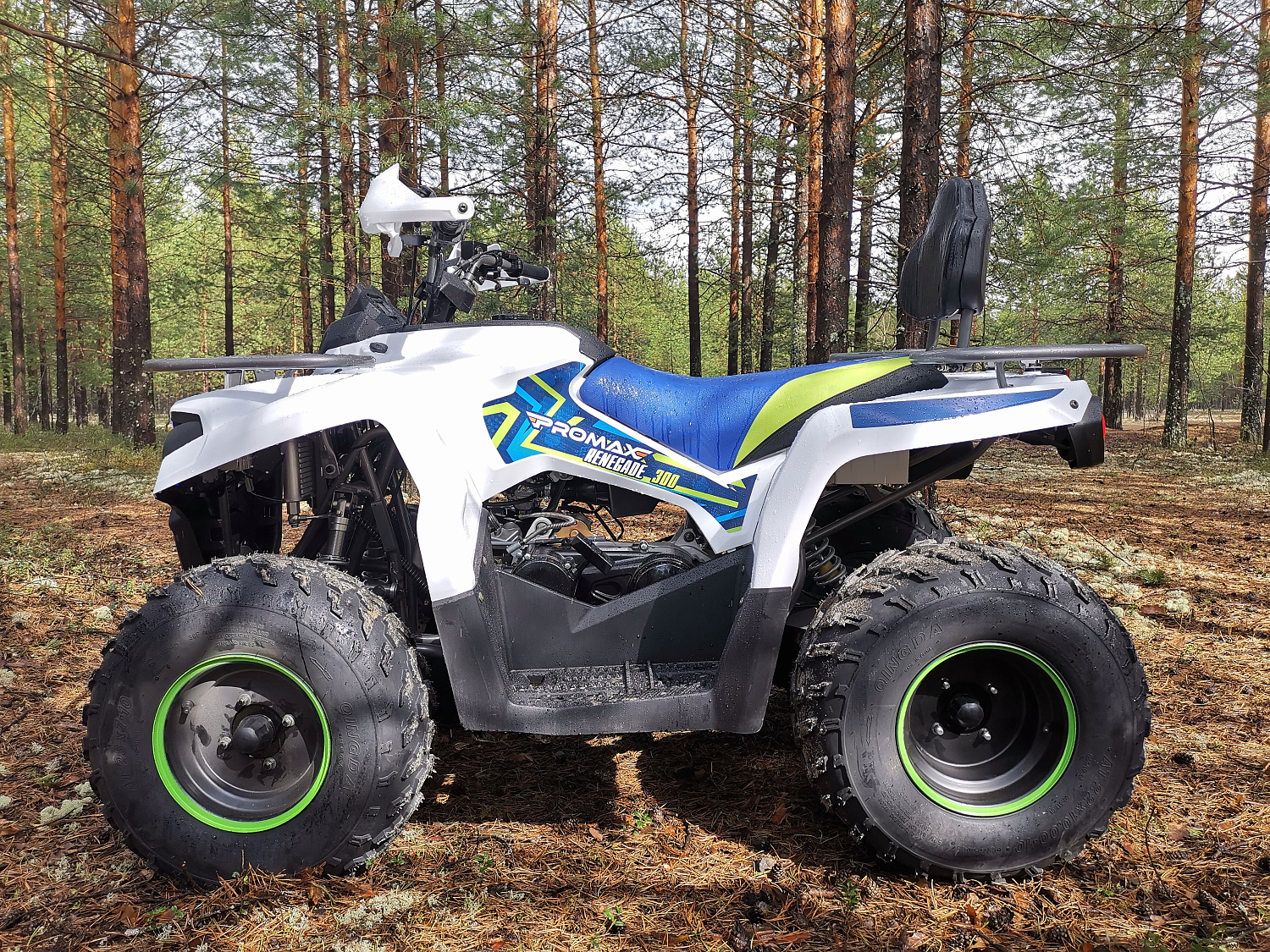 Квадроцикл PROMAX RENEGADE 280 (2025) в Томске